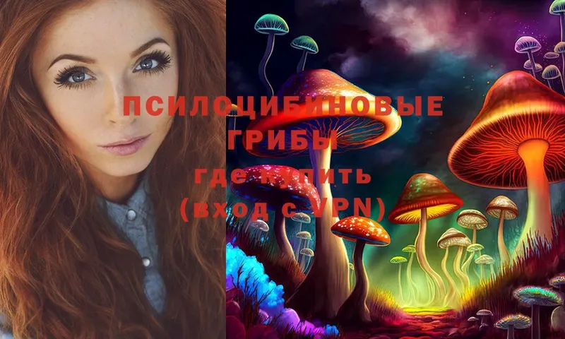 что такое   Белорецк  Псилоцибиновые грибы Magic Shrooms 